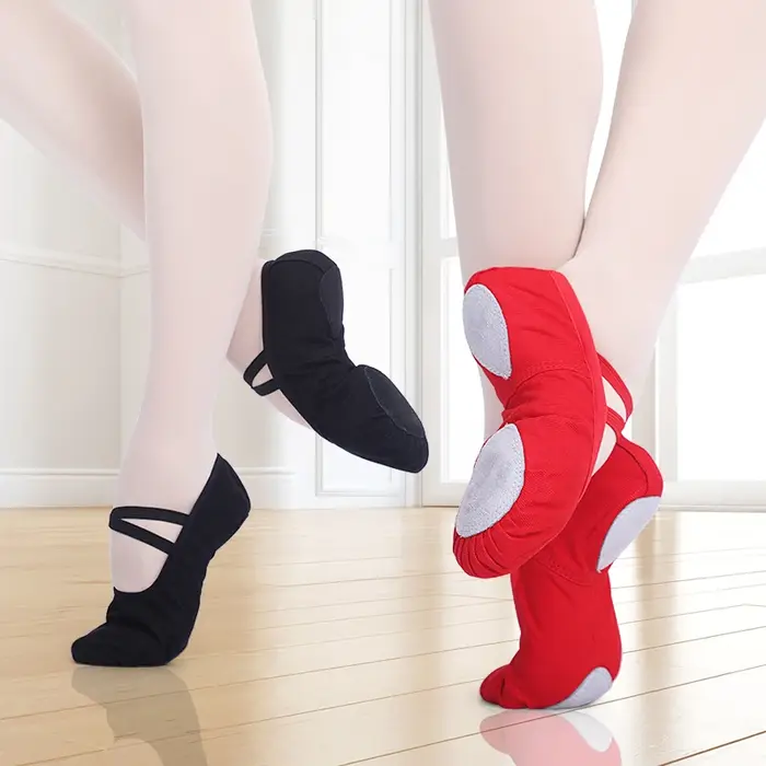 Filles chaussures de Ballet pour femme ballerine chaussures ballerines femmes toile semelle souple p