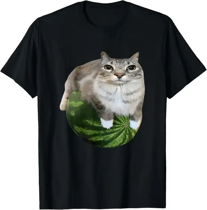 Années 90 Y2k pastèque chat chat idiot Meme T-Shirt une hilarante chemise imprimée pastèque est un h