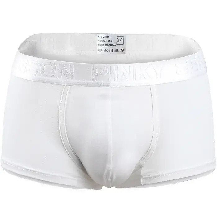 1 pièce de sous-vêtements pour hommes simples et polyvalents pour un usage quotidien décontracté, co