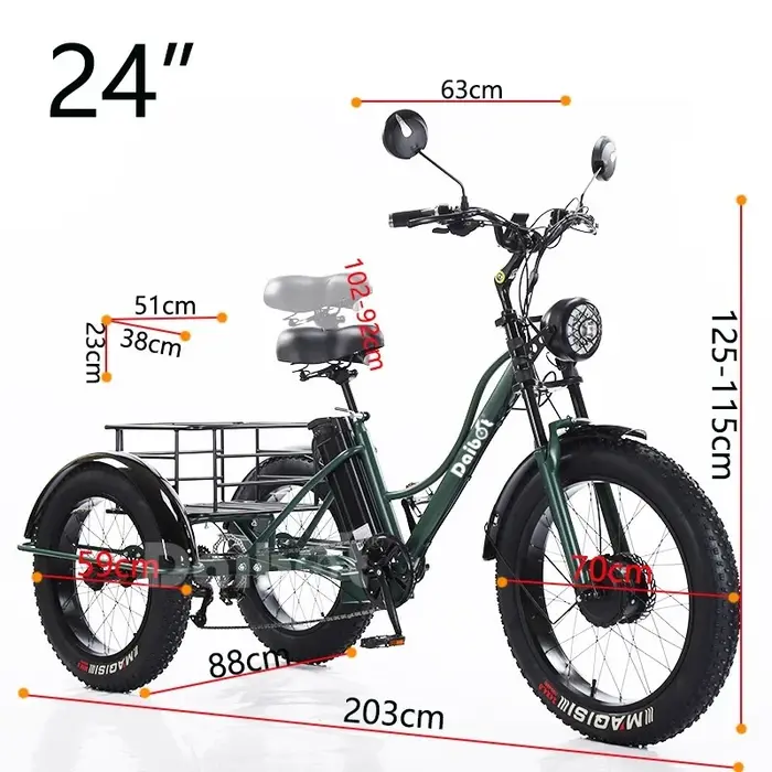 Vélo électrique tricycle pour homme 48V 750W avec pneus gros et capacité de chargement pour longues distances en plein air et randonnées familiales