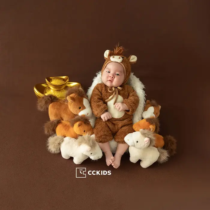 Accessoires de photographie nouveau-né sur le thème du cheval brun : Combinaison bébé + chapeau, pou