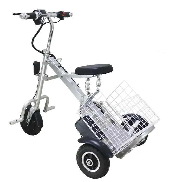 Mini Tricycle Électrique Pliant pour Personnes Âgées, 250W, 36V, Scooter de Voyage observateur avec 