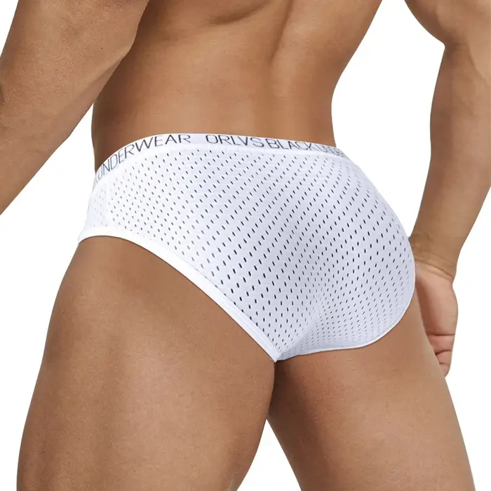 Sous-vêtements sexy en maille pour hommes slips briefs boxers zones de glissement confort élégance séduction occasions spéciales quotidien
