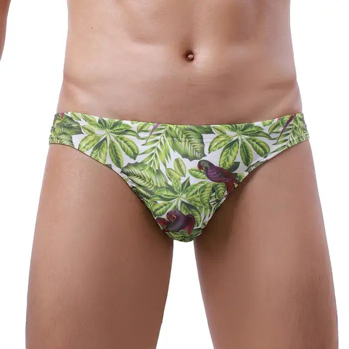 Slip de bain pour hommes, maillot de bain bikini, été, Sexy, Surf, séchage rapide, short de plage, v