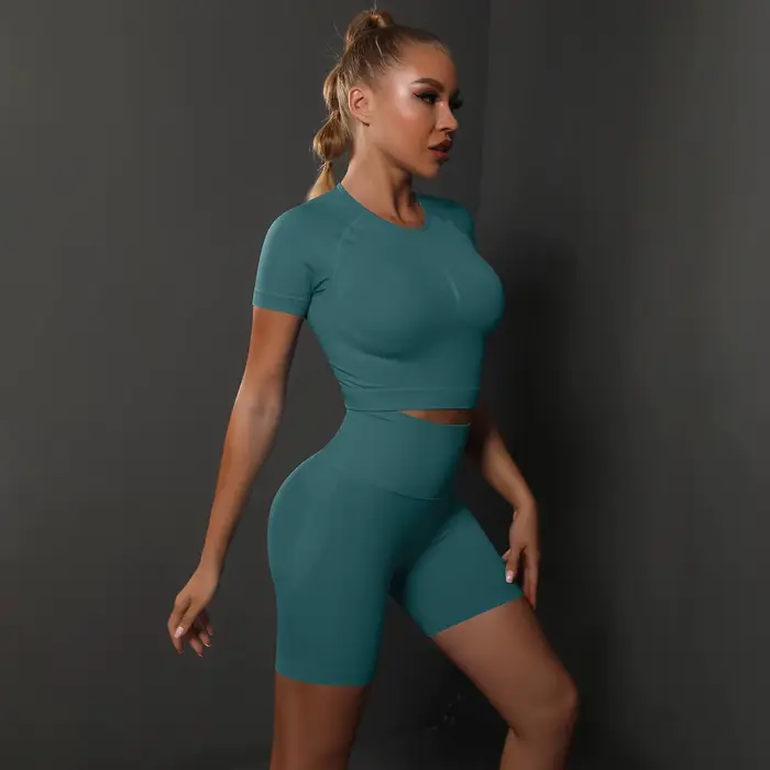 Ensemble de Yoga 2 pièces sans couture pour femmes, vêtements de Sport, haut de Sport et taille haut