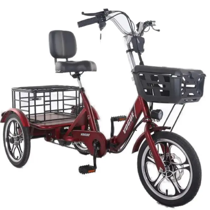 Vélo Électrique Cargo Tricycle Étanche Batterie Amovible avec Paniers pour Adultes Occasions Spéciales
