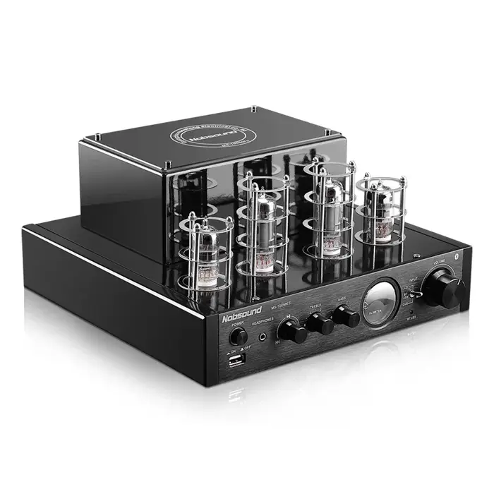 Audiophile-Amplificateur de puissance à tube haute puissance, sans fil, Bluetooth, HiFi, mini ampli 