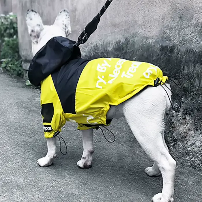 Manteau imperméable pour chien, veste réfléchissante à capuche pour chien, vêtements d'extérieur pou
