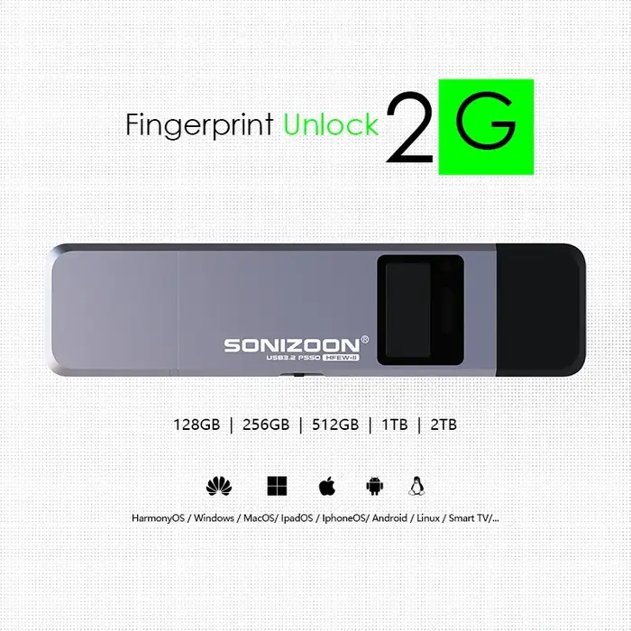 Clé USB à Écriture Flash 2G avec Cryptage d'Empreintes Digitales 1 To/512 Go/256 Go – Protection de 