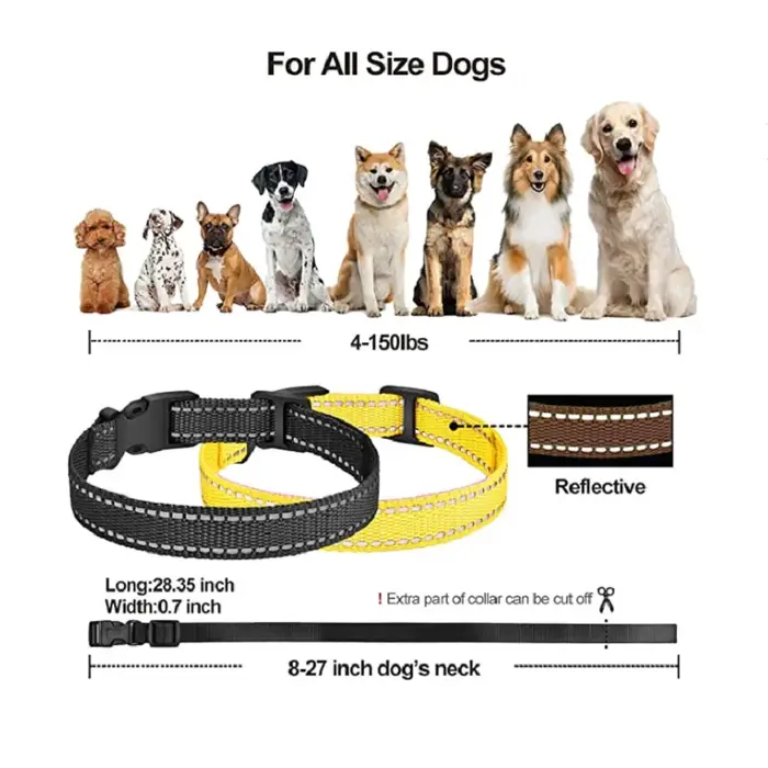Collier de dressage pour chien, étanche à distance, Rechargeable, noir, réfléchissant, TPU, 1000M, é