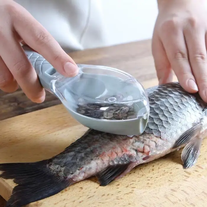 Râpes à écailles de poisson, grattoir, outil de nettoyage du poisson, dispositif de grattage avec co