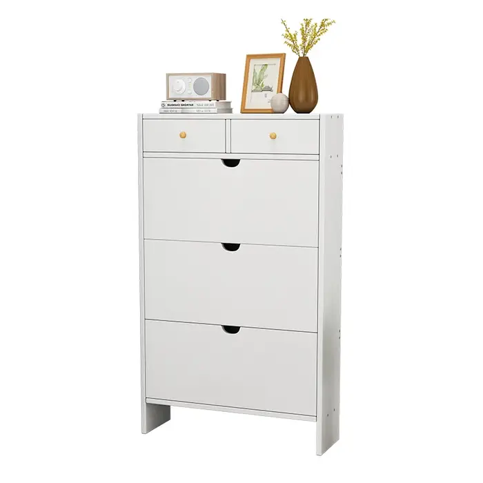-Vente directe d'usine prix raisonnable armoire de rangement de chaussures nouveau Design en gros en