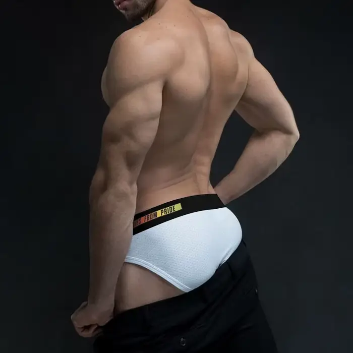 Sous-Vêtements Sexy Hommes Maille Respirante Bikini Jockstrap Slips Culotte Sissy Gay Occasions Spéciales
