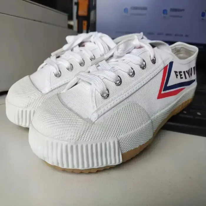 Kung Fu karaté chaussures sport baskets d'entraînement Kung Fu Wushu chaussures Arts martiaux Tai Ch