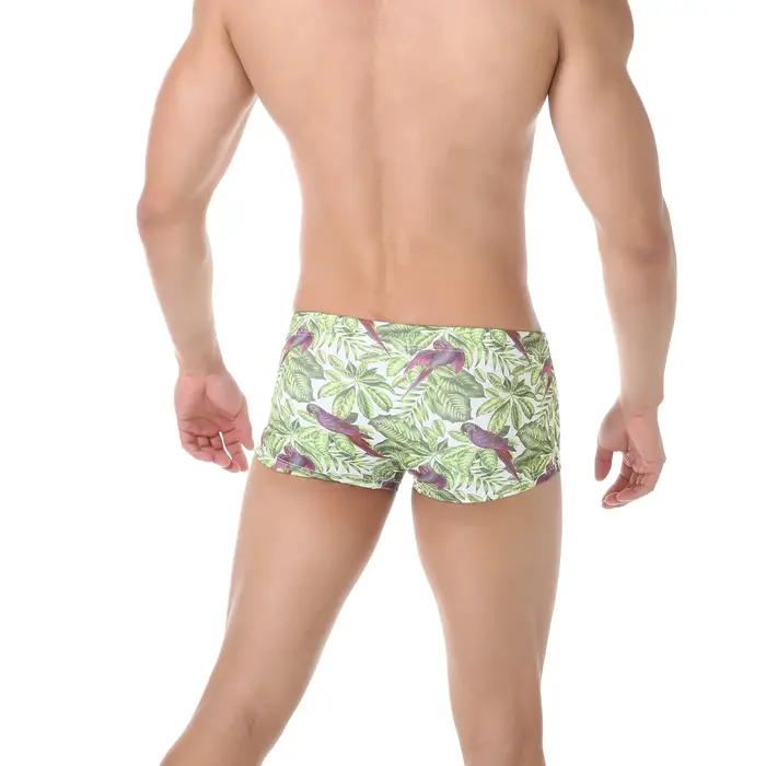 Hommes maillots de bain boxeurs de bain maillot de bain Sexy maillots de bain Shorts maillots de bai