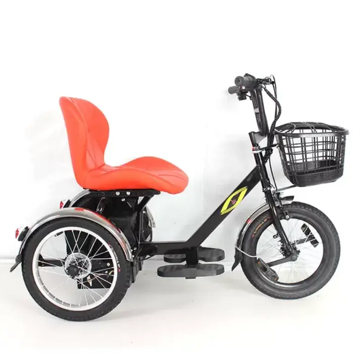 Mini vélo électrique à trois roues moteur 250W pour personnes âgées et handicapés siège confortable paniers avant arrière pour déplacements quotidiens et sorties