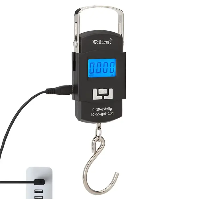 Balance numérique électronique avec chargeur USB 55kg/10g, crochet suspendu, pêche voyage, Double pr