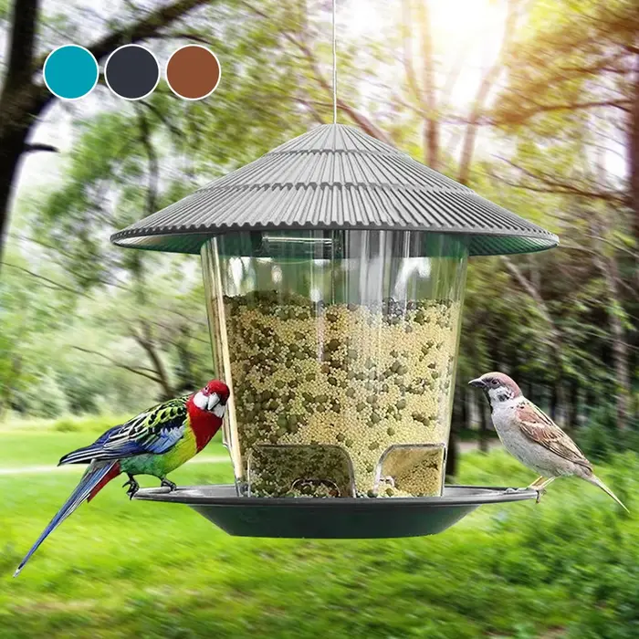 Mangeoire pour oiseaux, outil d'alimentation automatique des pieds, mangeoire pour oiseaux en plein 