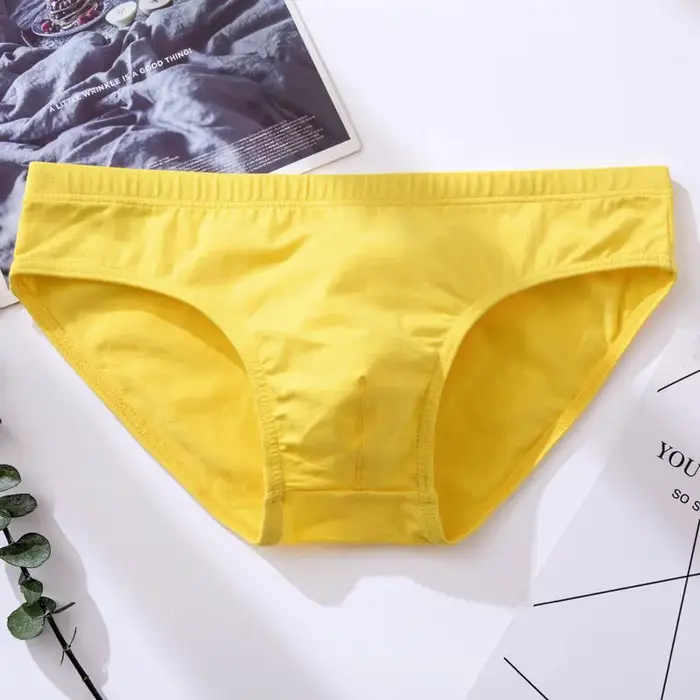 Sous-vêtements sexy en coton pour hommes, slips solides, culottes pour adultes, pantalons de bikini 