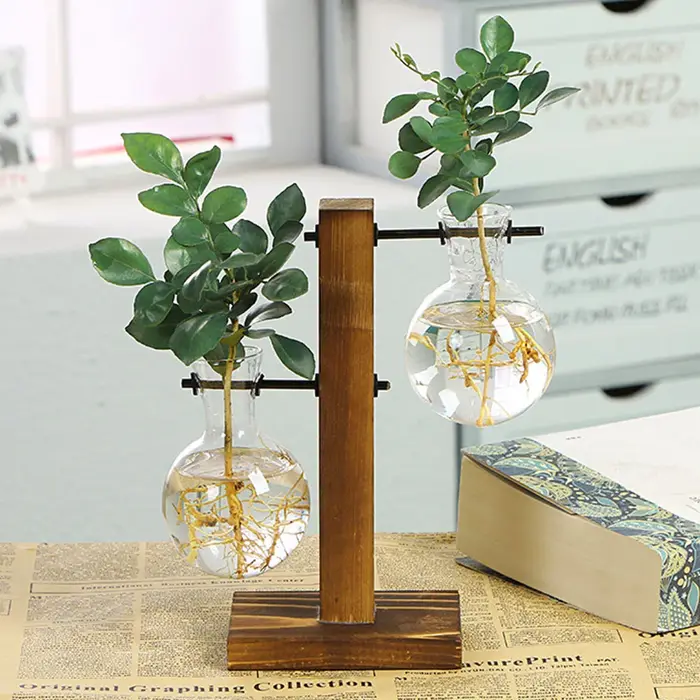 Vase à ampoules de jardinière de bureau en verre créatif, support en bois, conteneur de plantes hydr