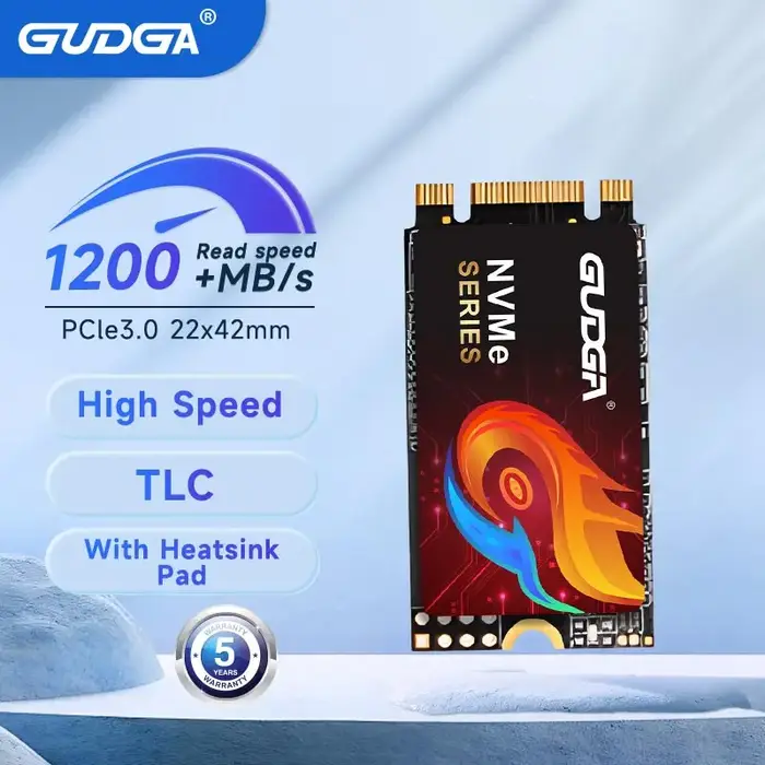 GUDGA M.2 NVMe SSD 1TB Disque SSD à semi-conducteurs M2 NVMe 2242 128GB 256GB 512GB Module PCIe Expr