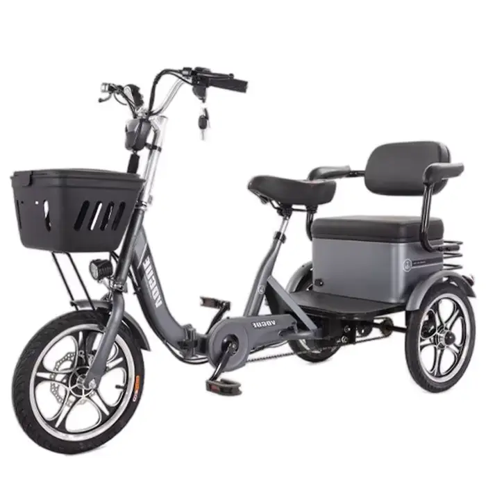 Tricycle Électrique Pliant à 3 Roues pour Deux Adultes