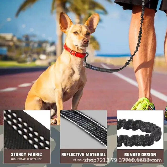 Laisse de chien d'entraînement à tampon élastique antidéflagrante pour promenades sécurisées et confortables de chiens de taille moyenne et grande