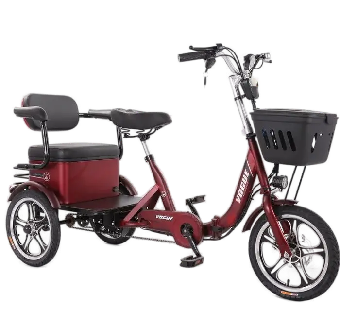 Tricycle électrique pour adultes avec siège passager confortable capacité 2 places portée 50km familial durable et sûr pour les sorties et les visites