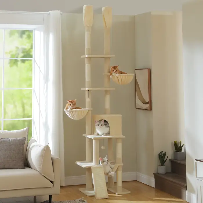 Arbre à chat Cactus du sol au plafond