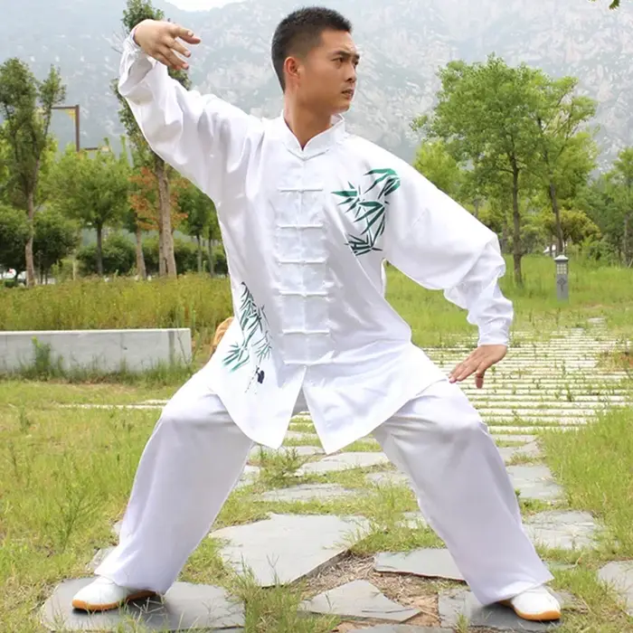 Uniforme de ceinture d'exercice en satin pour enfants et adultes, Wushu Kungfu, Wing Chun trempé, vê