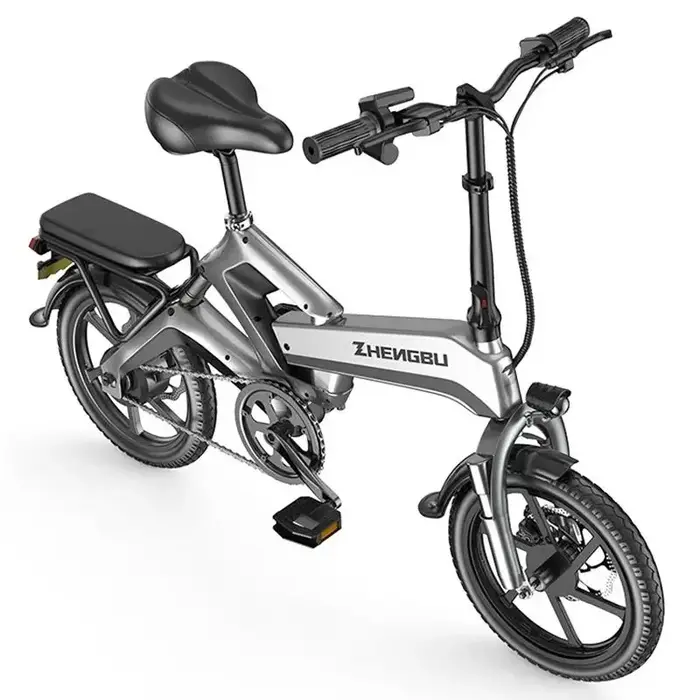 Vélo Électrique Pliable Homme Adulte 2 Sièges Puissance 400W Tension 48V Plaçable Pour Famille Occasions Spéciales Sorties Nature Visites Ville