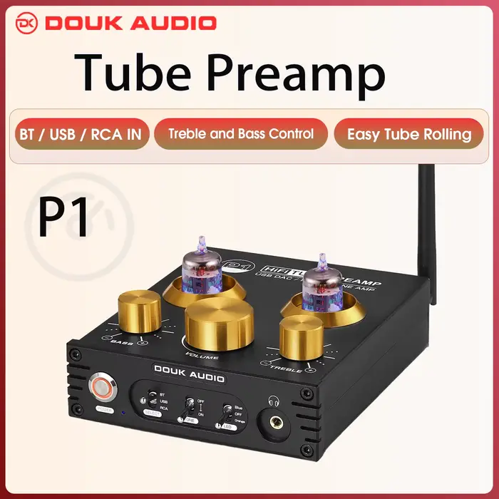 Douk Audio P1 HiFi JAN5725 préampli à Tube sous vide Bluetooth 5.0 récepteur Audio USB DAC amplifica