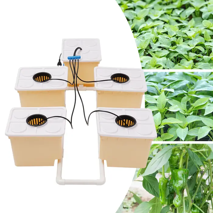 Kit de système de culture hydroponique pour plantes, 11l, 5 seaux, système de culture d'irrigation i