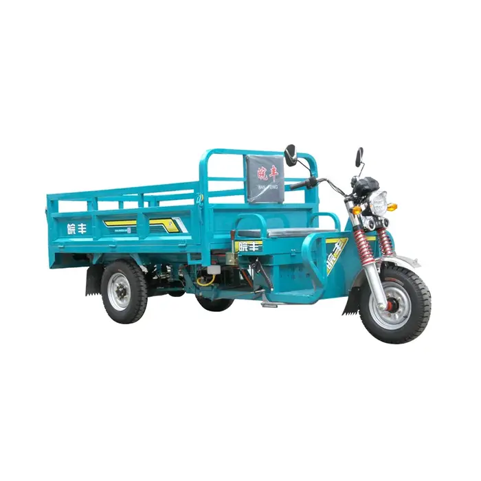 Tricycle Électrique Cargo 3000W Certifié CEE DOT Vélo de Passager Motorisé à 3 Roues Pour Adultes Corps Ouvert Occasions Spéciales