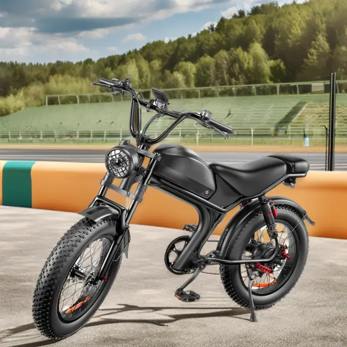 Vélo haute puissance 1000W 8000W tout-terrain vtt vélo de saleté électrique moto tout-terrain puissa