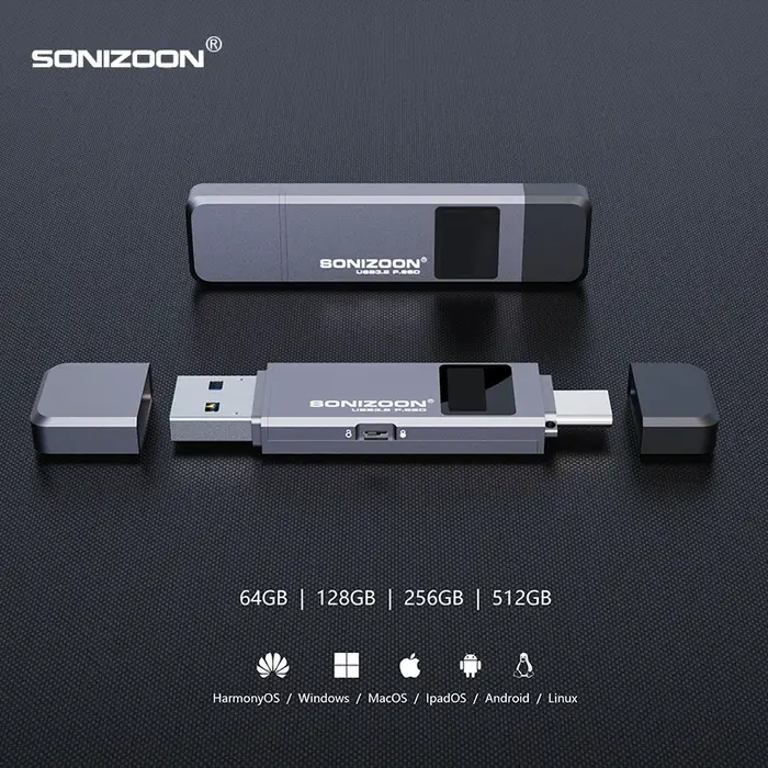 Cryptage d'empreintes digitales SSD Portable 128/256/512GBWrite fonction de Protection clé USB à sem