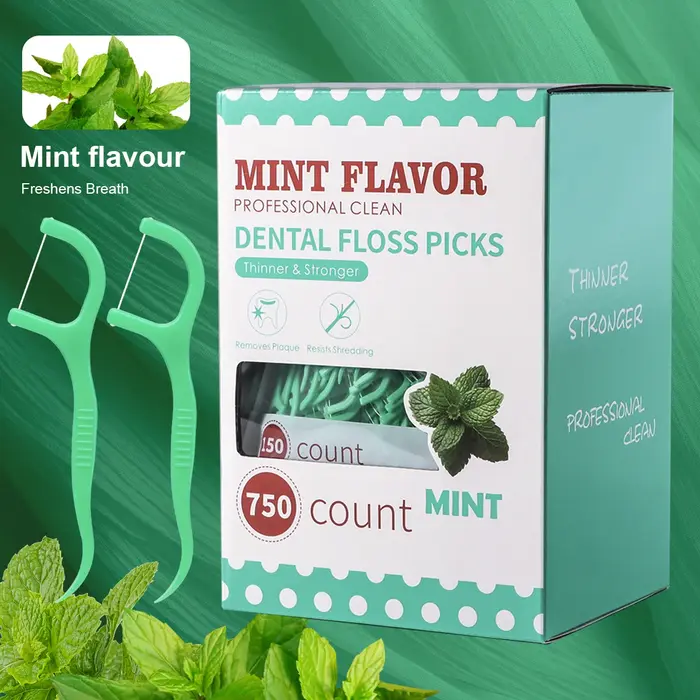 Bâton de fil dentaire à la menthe-bâton de fil dentaire jetable portable à domicile-soins bucco-dent