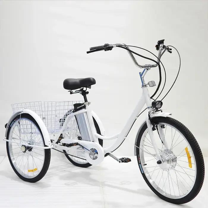 Vélo Cargo électrique pour adultes personnes âgées 350W 36V 12AH batterie au Lithium amovible vélo é