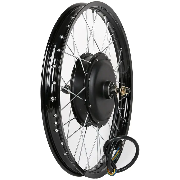 Kit de Conversion de Vélo Électrique 48V 1000W avec Batterie Lithium Haute Capacité pour Adultes Occasions Spéciales Déplacements Urbains et Randonnées Familiales