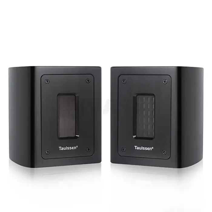 Ruban indépendant pour fièvre, 5Ohm, Super Tweeter externe, haut-parleur passif, boîte de son, Exten